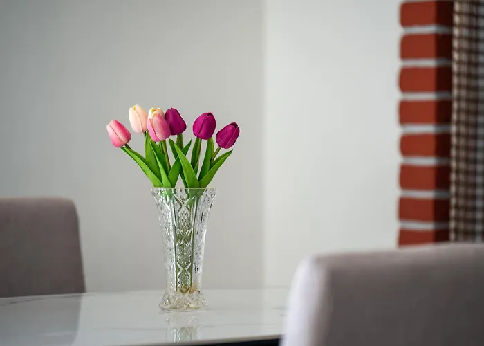 Apartment Gioia